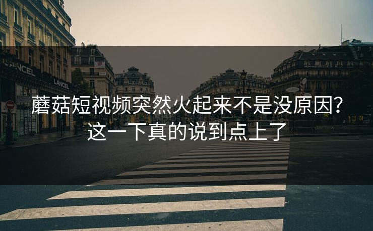 蘑菇短视频突然火起来不是没原因？这一下真的说到点上了  第1张