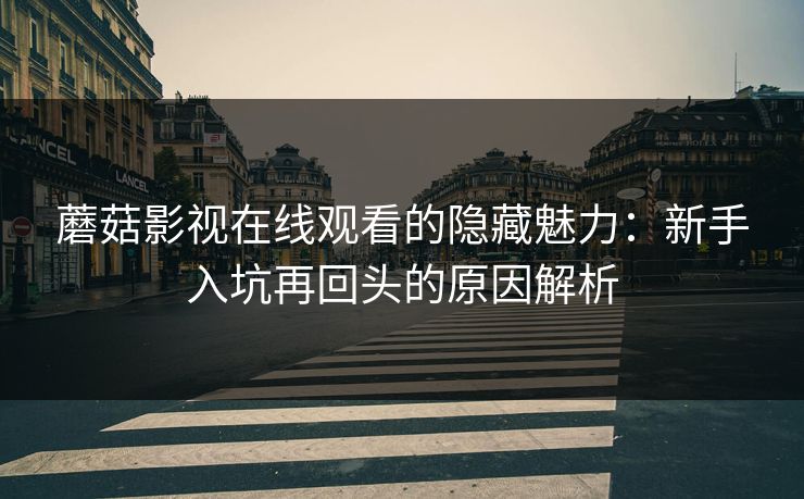 蘑菇影视在线观看的隐藏魅力：新手入坑再回头的原因解析  第1张