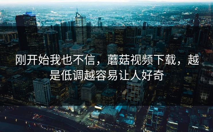 刚开始我也不信，蘑菇视频下载，越是低调越容易让人好奇  第1张