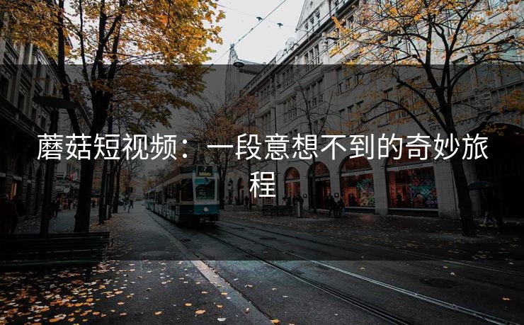蘑菇短视频：一段意想不到的奇妙旅程  第1张