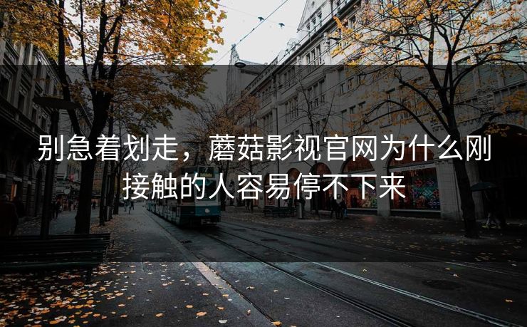 别急着划走，蘑菇影视官网为什么刚接触的人容易停不下来  第1张
