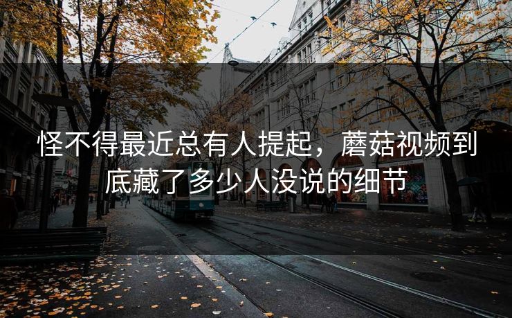 怪不得最近总有人提起，蘑菇视频到底藏了多少人没说的细节  第1张
