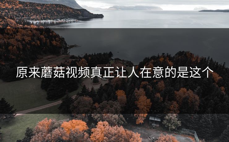 原来蘑菇视频真正让人在意的是这个 第1张 原来蘑菇视频真正让人在意的是这个 第1张