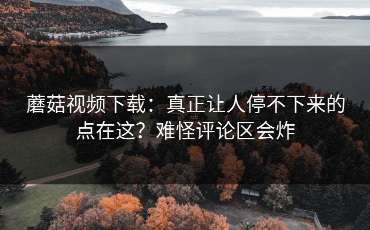 蘑菇视频下载：真正让人停不下来的点在这？难怪评论区会炸  第1张