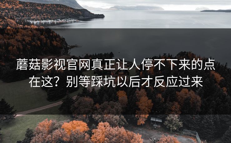 蘑菇影视官网真正让人停不下来的点在这？别等踩坑以后才反应过来  第1张