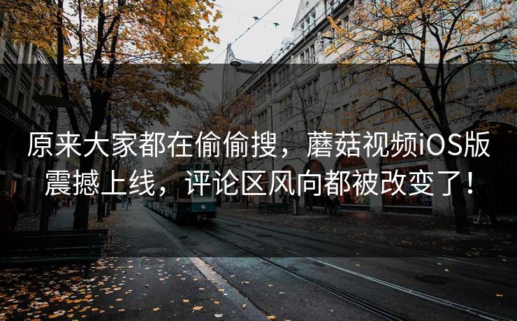 原来大家都在偷偷搜，蘑菇视频iOS版震撼上线，评论区风向都被改变了！  第1张