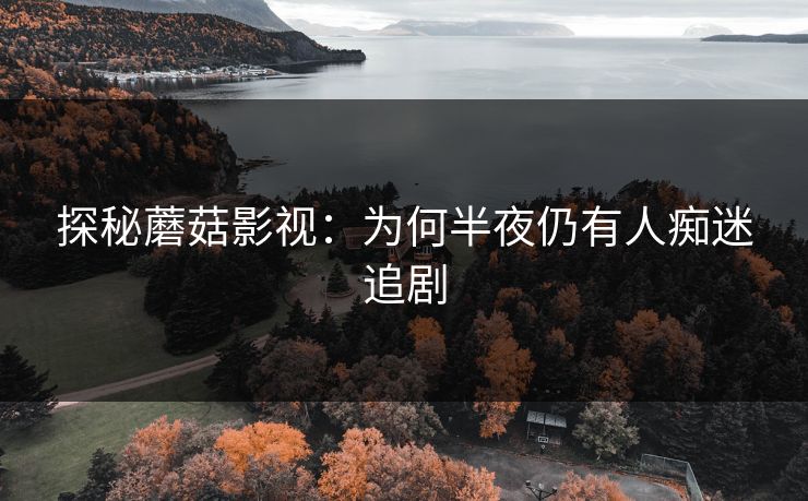 探秘蘑菇影视：为何半夜仍有人痴迷追剧  第1张