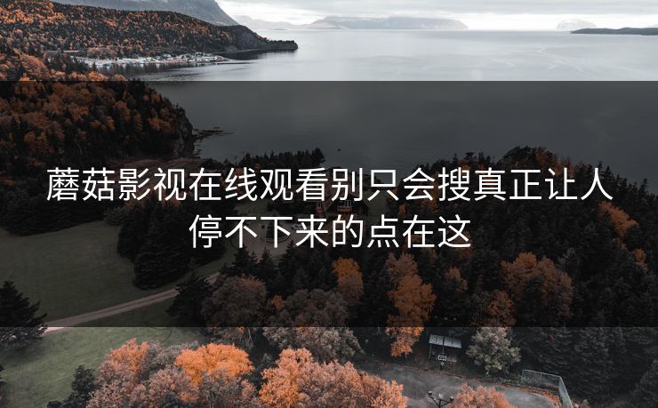 蘑菇影视在线观看别只会搜真正让人停不下来的点在这